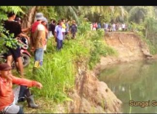 Pencari Lokan Dimangsa Buaya Sungai Selagan Mukomuko
