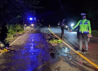 Lakalantas di Jalan Lintas Bengkulu-Kepahiang, 2 Penegendara Motor Luka Berat