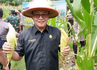 Ketua DPRD BS Hadiri Panen Semangka dan Jagung di Polres Bengkulu Selatan