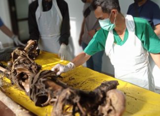 Polres RL Ungkap Hasil Identifikasi Temuan Kerangka Manusia di Binduriang