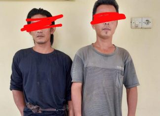 Curi Sawit: 2 Petani Ini Terancam 7 Tahun Penjara