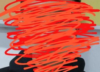 Remaja 17 Tahun Diamankan Polres BS Terduga Pelaku Setubuhi Anak Dibawah Umur