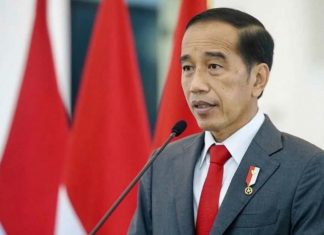 Pentingnya Perdamaian, Jokowi Telepon Presiden Ukraina dan Rusia