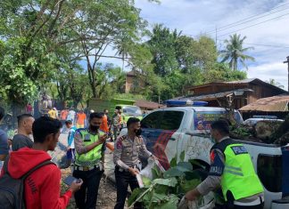 Sinergi Antar Instansi, Polres Kepahiang Bersihkan Jalur Mudik Lebaran di Jalan lintas Liku Sembilan dan Kawasan Hutan Konak