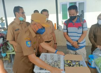 Peringati HUT ke 73 Bengkulu Selatan Gelar Pasar Tani