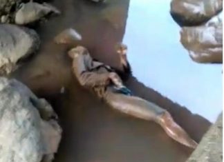 Mayat Pria Tak Beridentintas Ditemukan di Bawah Jembatan Desa Semindang Lagan Bengkulu Tengah