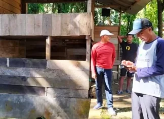 Peluang Bisnis Mancanegara, Gusnan Mulyadi Gali Potensi Budidaya Sidat