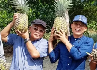 Gusnan Mulyadi : Jonior Hafis Adalah Birokrat Terbaik di Daerah Ini