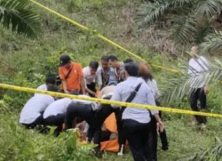 Anggota TNI 0425 Seluma Ditemukan Tewas Penuh Luka Bacokan di Kebun Sawit Miliknya