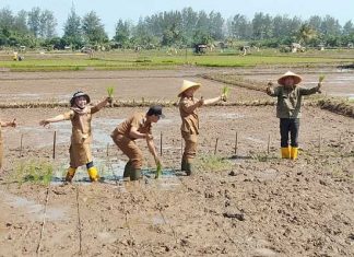 Pemkot Bengkulu Tunjang Ketahanan Pangan Nasional