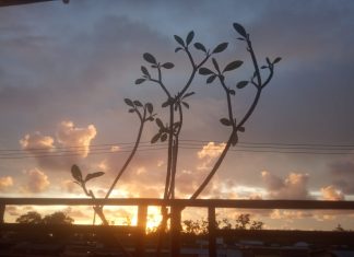 Anak-anak Gelombang, Randu dan Sudut Pasar Ikan Pemandangan Sore Pelabuhan Pulau Baii FotoDok Bagus SLE