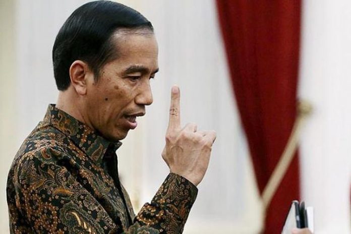 Presiden Jokowi Dodo Foto/Dok Kompas