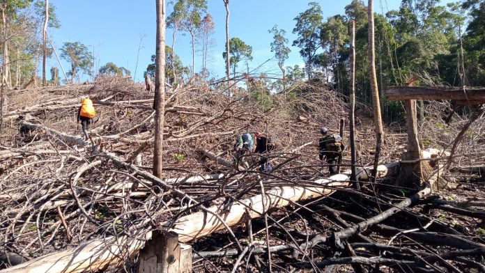 Habitat Gajah Seblat