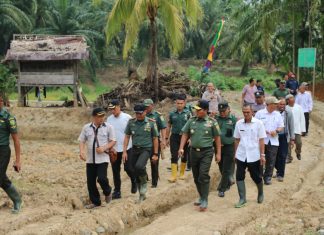 Optimalisasi Lahan Rawa Tindaklanjut Program Ketahanan Pangan