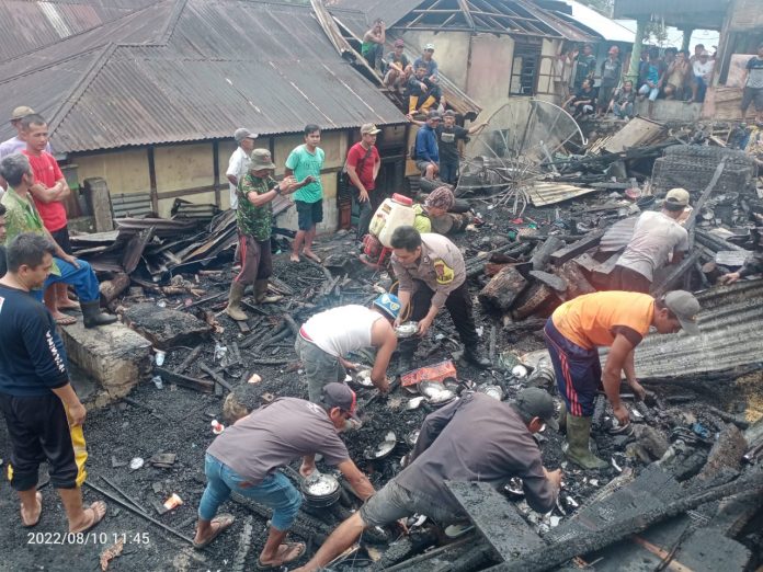 Polisi dan Warga Berjibaku Padamkan Kebakaran Hebat di Lebong selatan