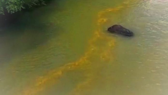 Tampak ALiran Sungai Menguning