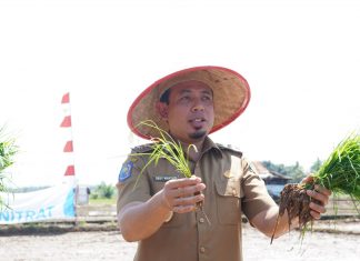 Kontribusi Ketahanan Pangan, Pemkot Lakukan Tanam Padi Serentak