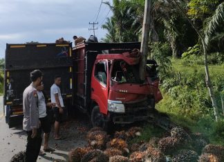 Banting Stir, Truk Muatan Sawit Tabrak Tiang Listrik