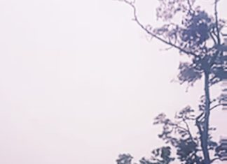 Misteri Byuto Bab 11: Tarian Kasmaran