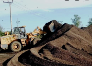 Ekspor Komoditas Cangkang Sawit Bengkulu Dinantikan Negara Jepang