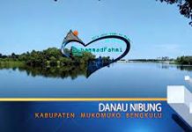 DPMPTSP Bengkulu Buka Peluang Investasi Sektor Pariwisata di Mukomuko