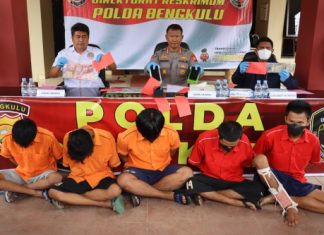 Selama Ops Musang Nala II 2022, Polda Bengkulu Tangkap 100 Tersangka
