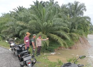 Patroli Bersama, Pilar Desa Pantau Jalan Terancam Abrasi di Padang Guci Hilir