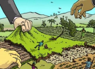 Modus Mafia Tanah di Ruang Peradilan