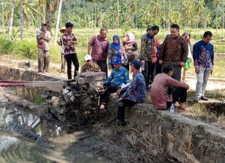 MT-II Makin Diminati Masyarakat di Lebong, Bupati Kopli Kembali Turun Sawah