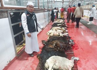 Laksanakan Haji Tamattu, JCH Kloter 7 Bengkulu Bayar Dam Nusuk