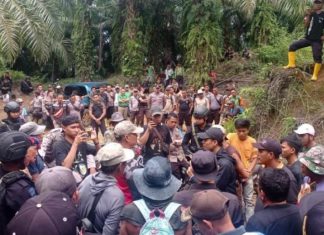 Miris…!!! Konflik Kelompok Tani Dengan TBS Perusahaan di Muko – Muko Kembali Memanas