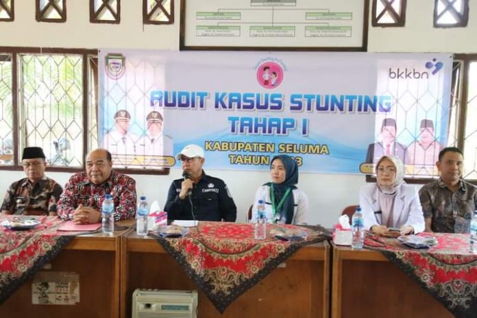 Audit