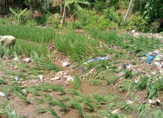 Dampak Banjir di Lebong Selatan Meluas