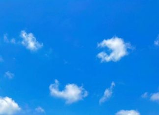 Kelurahan Kandang Sabet 2 Piala Walikota Bengkulu Ajang Lomba Volly Ball