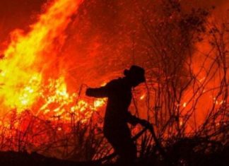 Antisipasi Karhutlah, BPBD Minta Seluruh Kecamatan di Kota Bengkulu Bentuk Satgas