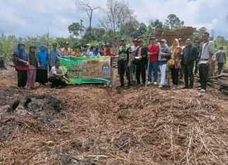 Manfaatkan Lahan Kosong, Pemkab Seluma Gerakan Tanam Kedelai