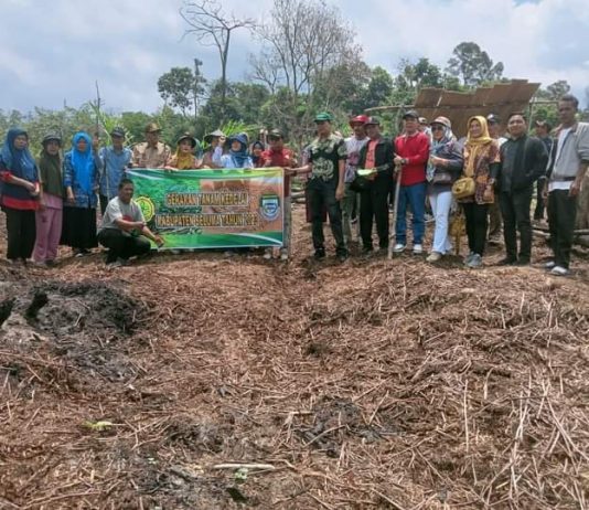 Manfaatkan Lahan Kosong, Pemkab Seluma Gerakan Tanam Kedelai
