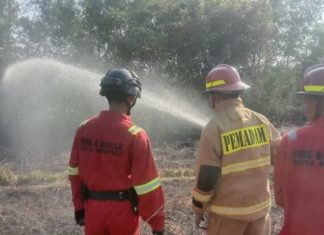 Pemkot Bengkulu Imbau Potensi Karhutla