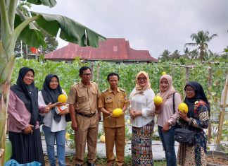 Studi Tiru Budidaya Melon jadi Alternatif Sumber Perekonomian di Desa