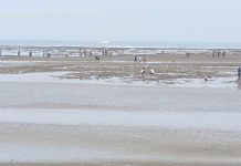 Pasang Surut Pantai di Bengkulu Jadi Sasaran Rekreasi Bagi Pengunjung
