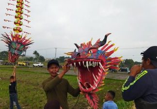 Layangan Mata Naga Rafflesia Terbang di Atas Langit Persawahan Kelobak