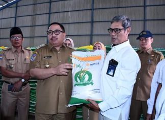 Bulog Sebut Stok Beras di Kota Bengkulu Aman