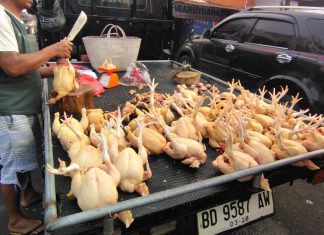 Harga Daging Ayam Potong di Pasar Panorama Bengkulu Turun