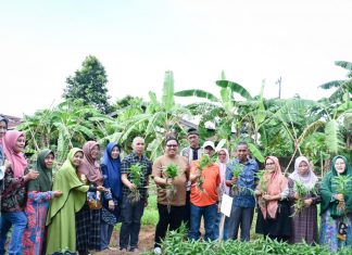 Warga Kota Bengkulu Manfaatkan Lahan Tidur, Ini Yang Ditanam