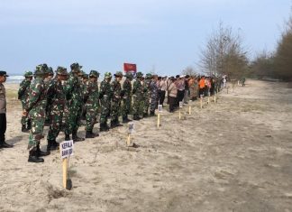 TNI Polri di Mukomuko Tanam 500 Pohon di Pantai Air Patah