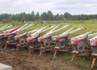 Dinas TPHP Alokasikan Rp 7,7 Miliar Untuk 13.013 Kelompok Tani