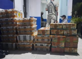 BKSDA Bengkulu Cegah Pengiriman 787 Satwa Liar