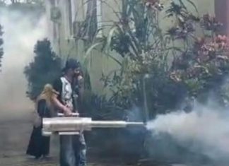 Dinkes RL Himbau Masyarakat Waspada Penyebaran Penyakit DBD