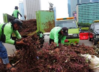 Kondisi Sekitaran Bundaran HI, Paska Perayaan Tahun Baru