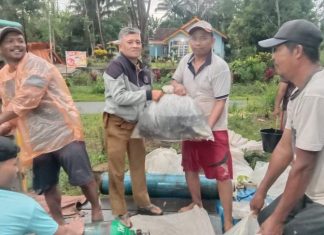 Desa Marga Sakti, Budi Daya Ikan Nila Mendapat Hasil Yang Memuaskan Sebagai Kemajuan Desa